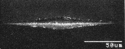 SEM image of a Knoop indentation.