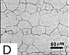 twin etching supressed in austenitic steel