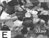 specimen D tint etched