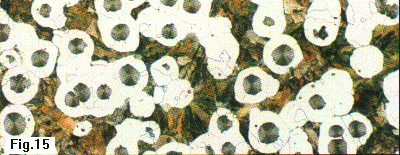 ductile iron w/ferrite and pearlite 100x